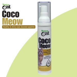 Coco Meow